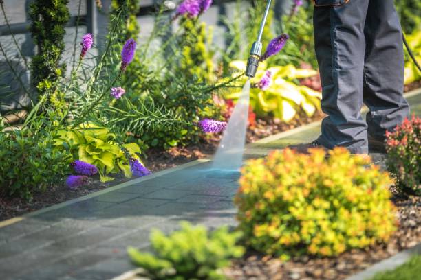 Why Choose Our Pressure Washing Services in New York